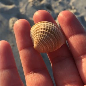 Meet your Posher, Haley